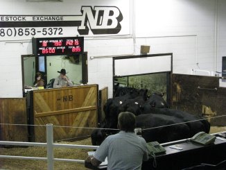 IMG 0651k