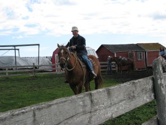 IMG 0682k