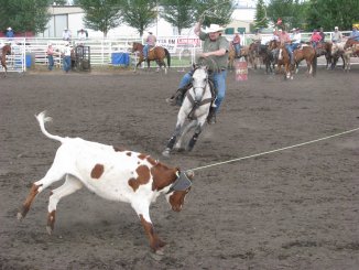 IMG 0730k