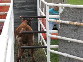 IMG 0738k