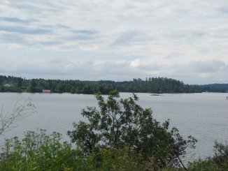 IMG 0886k