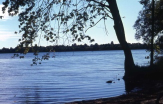 lakeonthemo